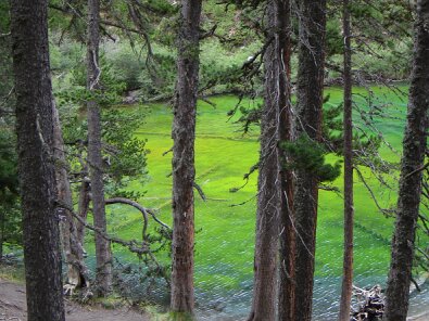 Lac Vert