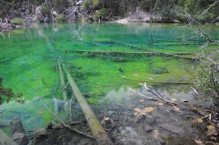 Lac Vert