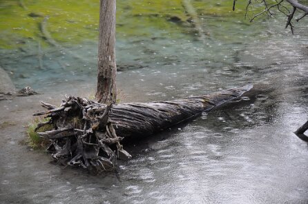 Lac Vert