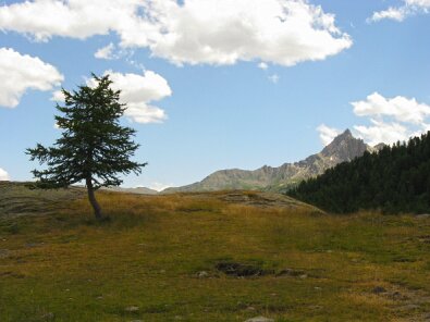 IMG_1179_hdr