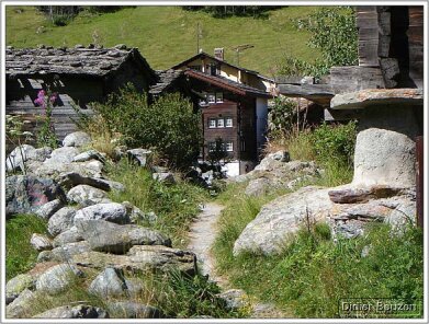 suisse067