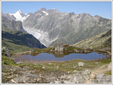 suisse101