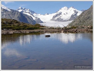 suisse104