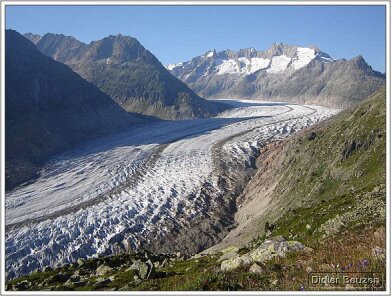 suisse115