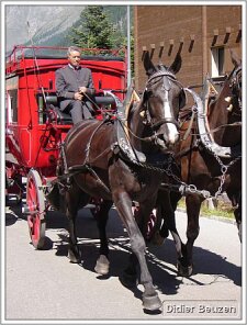 suisse145