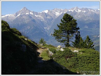 suisse158
