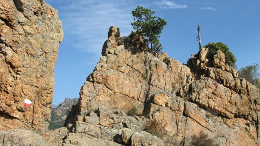 IMG_0010b_crop