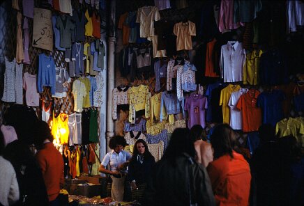 Dandelion Market