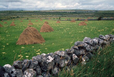 burren_meules1_Jalbum