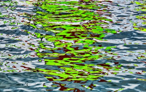 _DSC8443_easyHDR-PRO-crop1