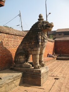 IMG_0572
