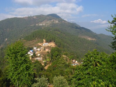 IMG_1885