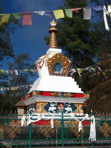 IMG_1938