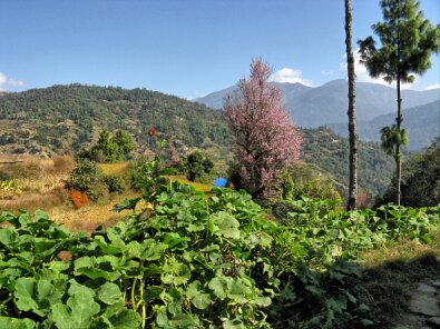 IMG_0603_easyHDR-PRO-2