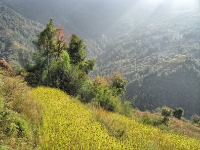 IMG_0622_easyHDR-PRO-2
