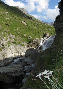 IMG_0353_IMG_0355-2 images