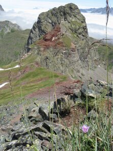 IMG_0101