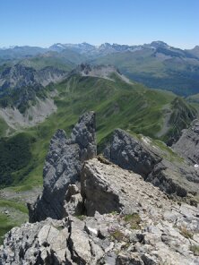 IMG_0211