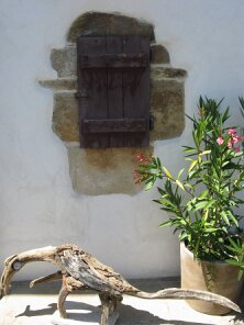 IMG_0443