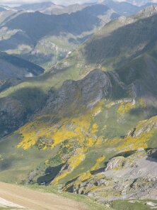 IMG_0130