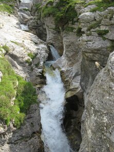 IMG_0345