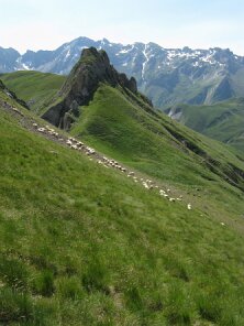 IMG_0588
