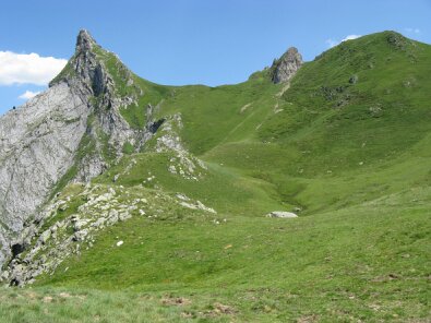 IMG_0613