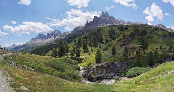 [Group 0]-IMG_20250714_141635_IMG_20250714_141719-25 images_0000