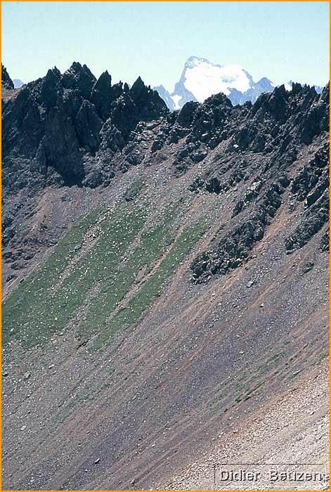 27 barre ecrins.jpg