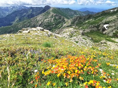 IMG_20210630_120137 HDR